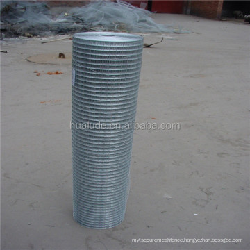 Animal Cage Galvanized Welded Wire Mesh